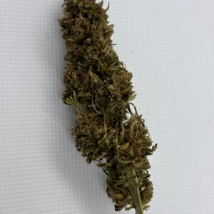 a bud of pine walker cbdv on a white background