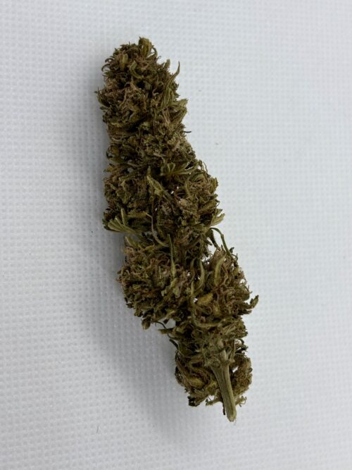 a bud of pine walker cbdv on a white background