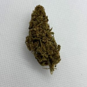 a bud of forbidden cbdv on a white background