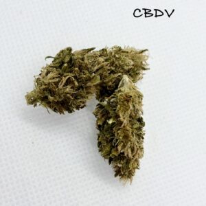 two buds of pine walker cbdv on a white background
