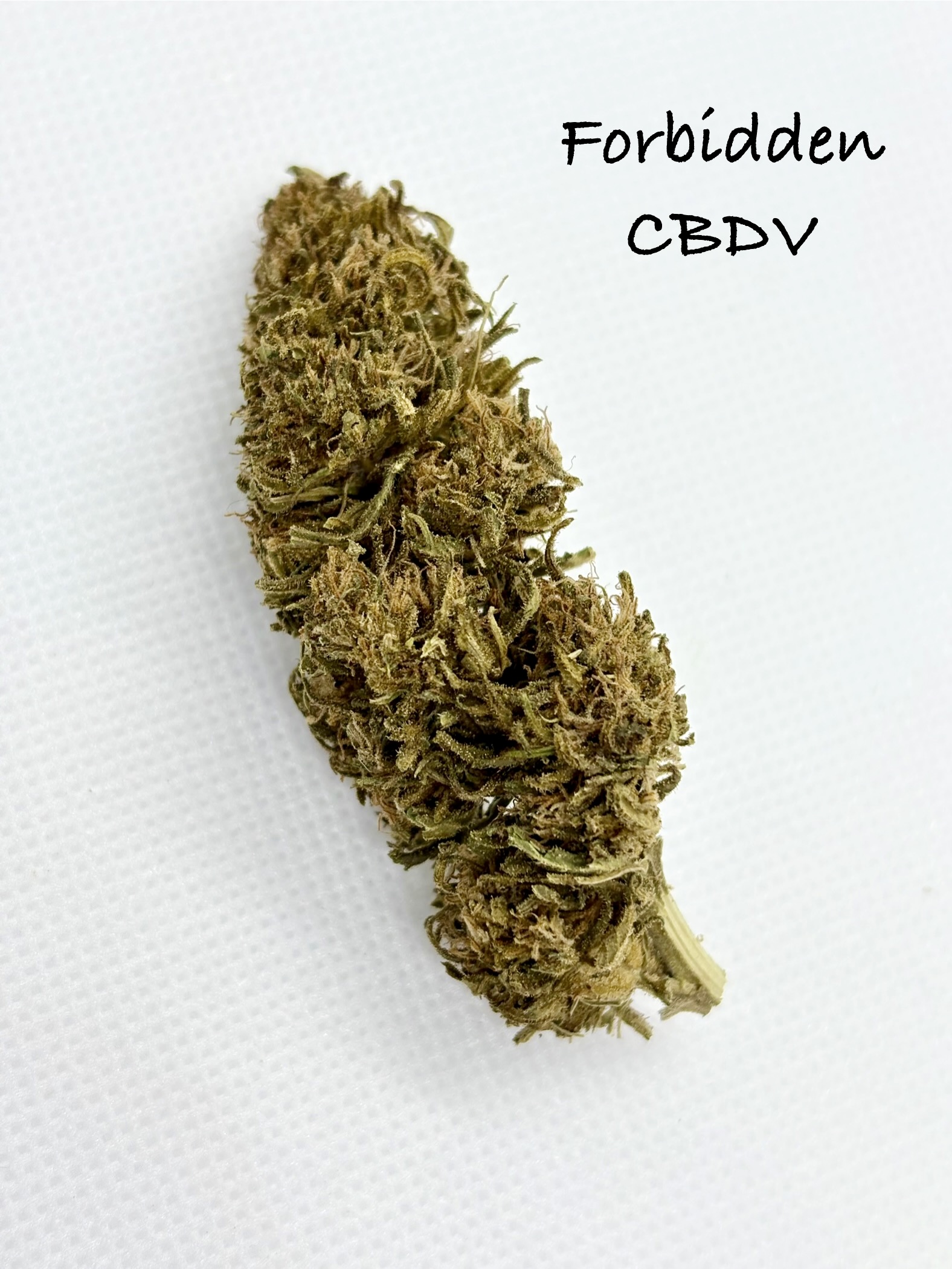 a bud of forbidden cbdv on a white background